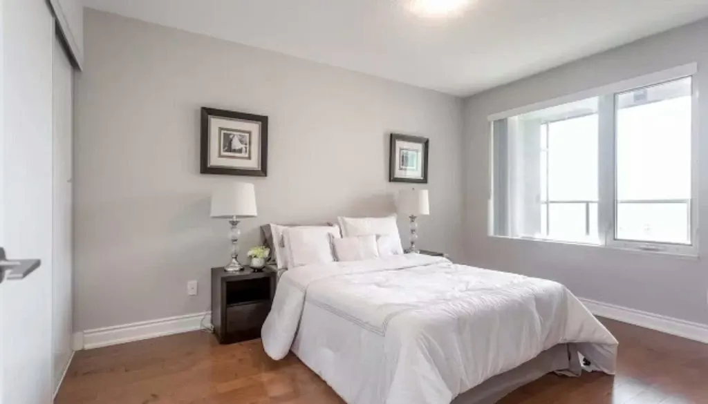 Painting Services in Scarborough